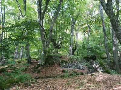 Прикрепленное изображение: 012.jpg